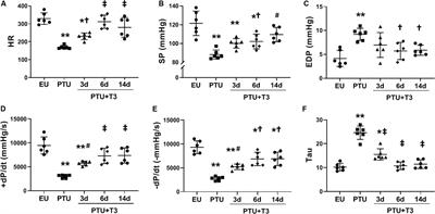 BNP as a New Biomarker of Cardiac Thyroid Hormone Function
